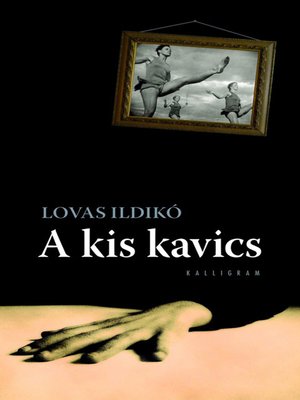 cover image of A kis kavics